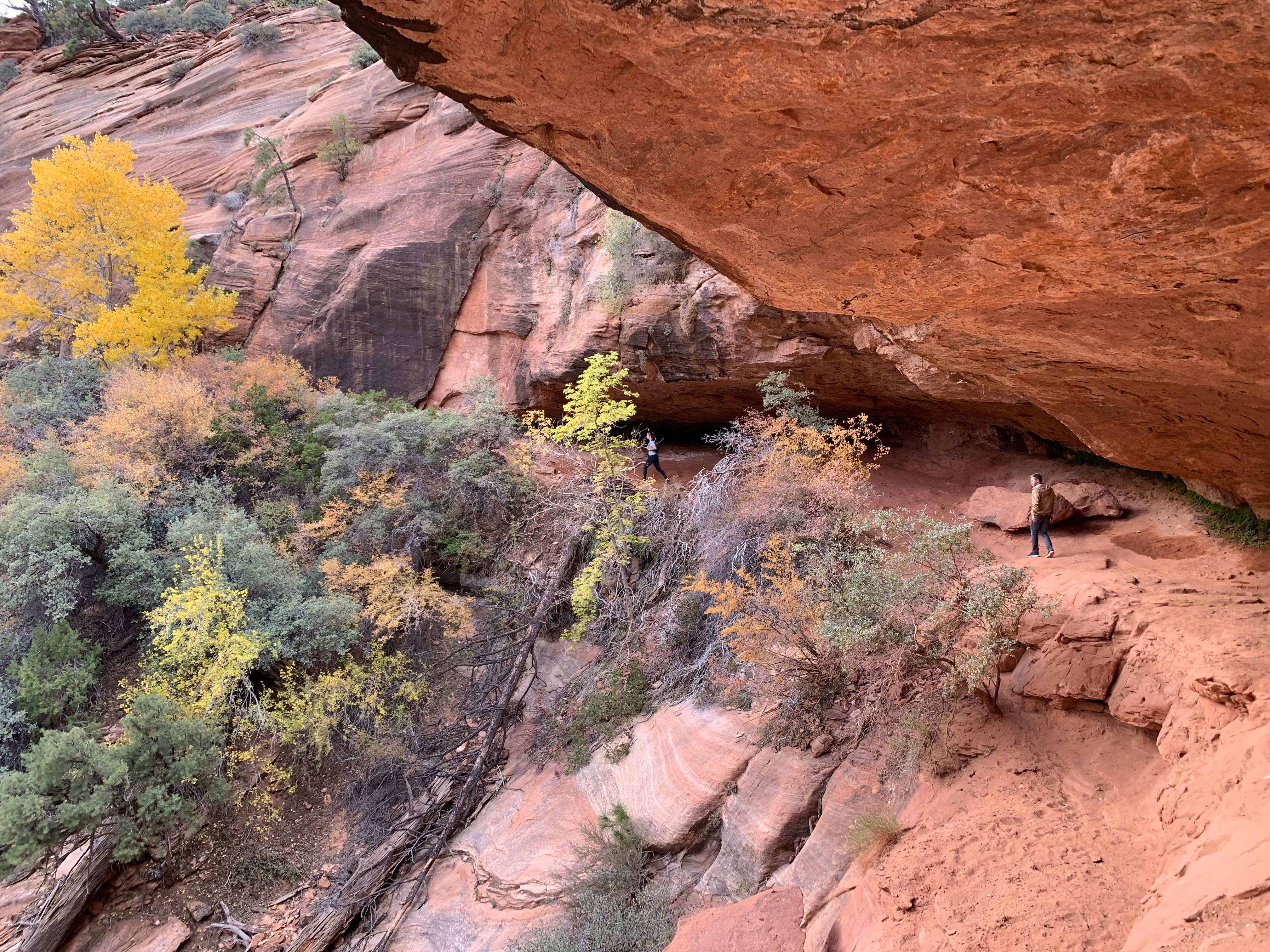 Zion NP